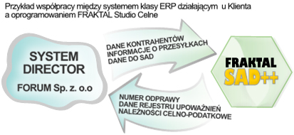 odprawy celne w systemie erp